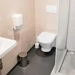 Monte Pacis In Pazaislis 4* Kaunas