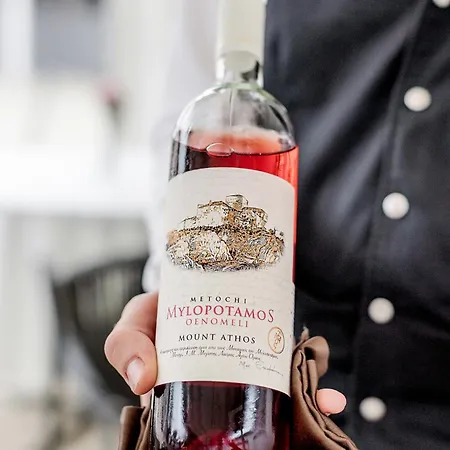 Monte Pacis Hotel In Pazaislis - Pets Travel For Free In February Kaunas