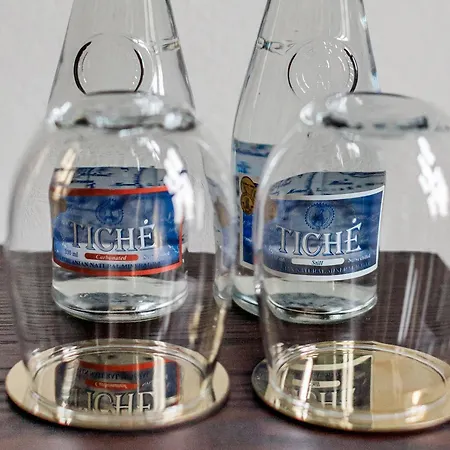 Monte Pacis Hotel In Pazaislis - Pets Travel For Free In February 4*