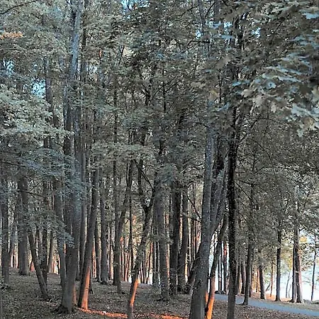 Monte Pacis In Pazaislis 4*