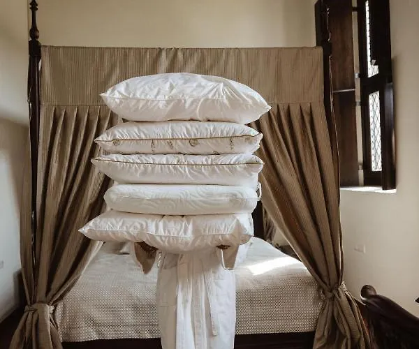 Monte Pacis In Pazaislis