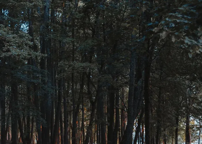 Monte Pacis In Pazaislis Hotell Kaunas